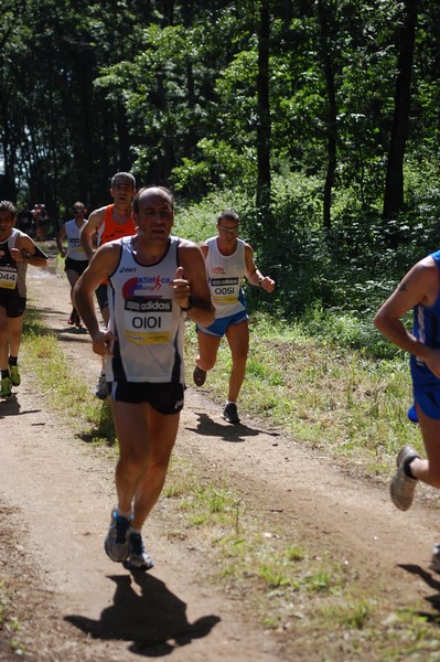 Trofeo Città di Nettuno (02/06/2013) 00141