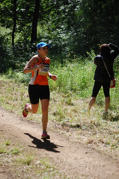 Trofeo Città di Nettuno (02/06/2013) 00175