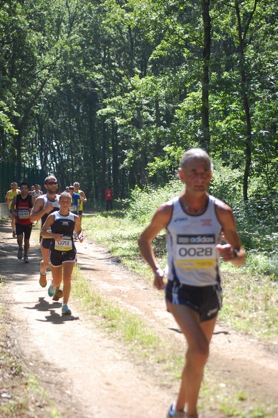 Trofeo Città di Nettuno (02/06/2013) 00183