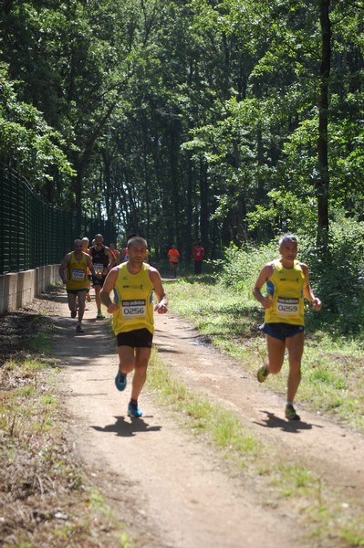 Trofeo Città di Nettuno (02/06/2013) 00185