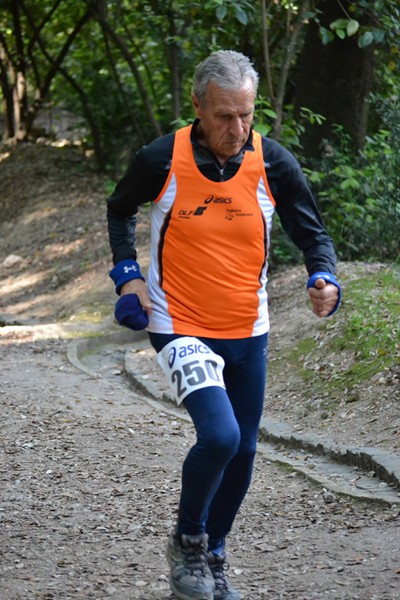 Tibur Ecotrail (Crit. Trail) (12/05/2013) 092