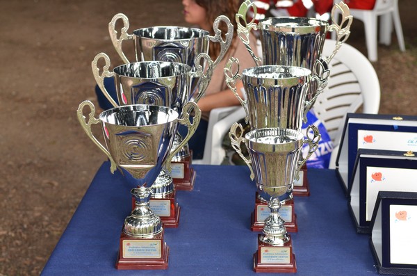 Trofeo Podistica Solidarietà (29/09/2013) 00043