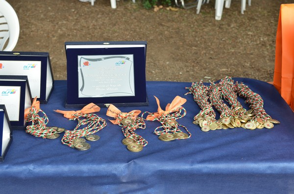 Trofeo Podistica Solidarietà (29/09/2013) 00045