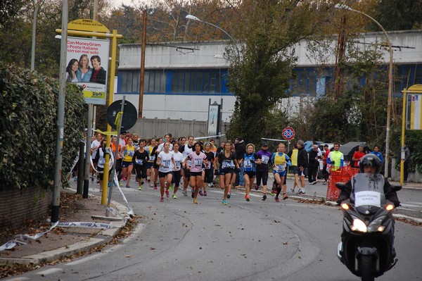 Mezza Maratona a Staffetta - Trofeo Arcobaleno (01/12/2013) 00002