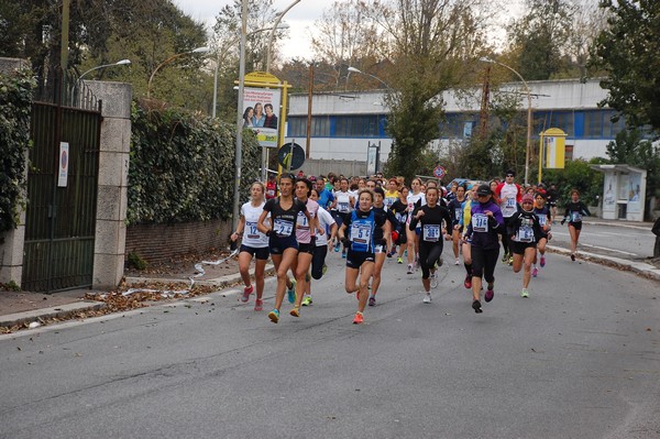 Mezza Maratona a Staffetta - Trofeo Arcobaleno (01/12/2013) 00006