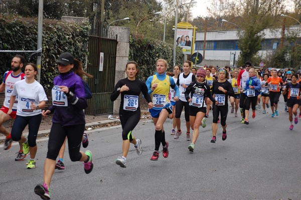 Mezza Maratona a Staffetta - Trofeo Arcobaleno (01/12/2013) 00009