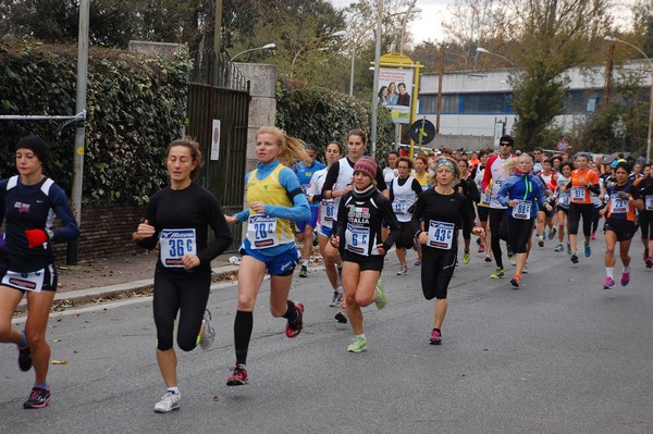 Mezza Maratona a Staffetta - Trofeo Arcobaleno (01/12/2013) 00010