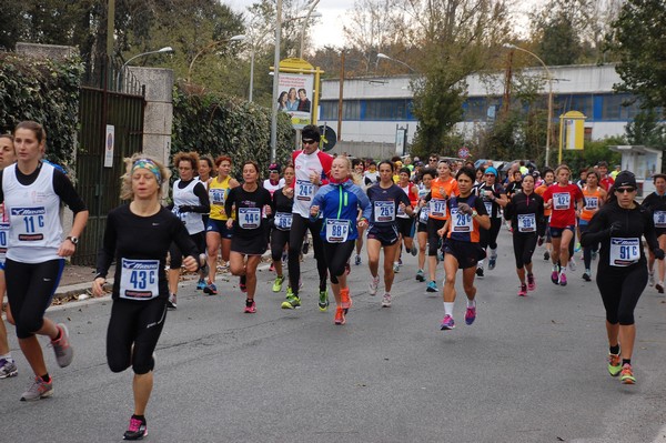 Mezza Maratona a Staffetta - Trofeo Arcobaleno (01/12/2013) 00013