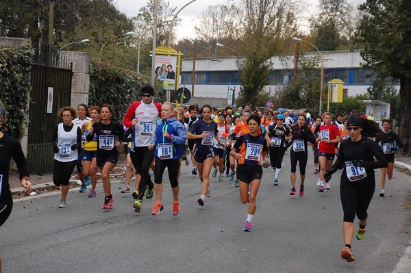Mezza Maratona a Staffetta - Trofeo Arcobaleno (01/12/2013) 00014