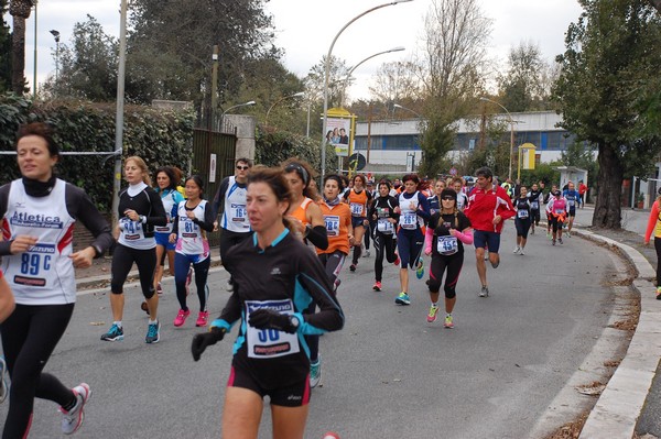 Mezza Maratona a Staffetta - Trofeo Arcobaleno (01/12/2013) 00026