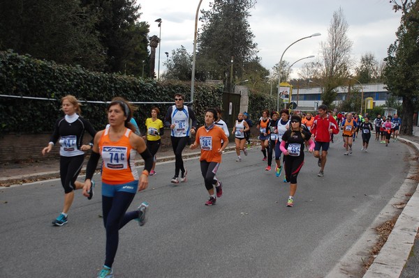 Mezza Maratona a Staffetta - Trofeo Arcobaleno (01/12/2013) 00028