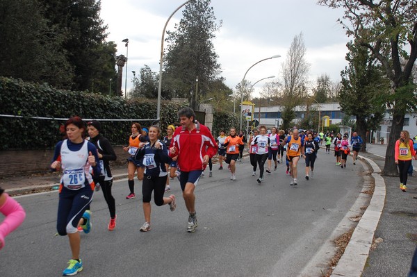 Mezza Maratona a Staffetta - Trofeo Arcobaleno (01/12/2013) 00032