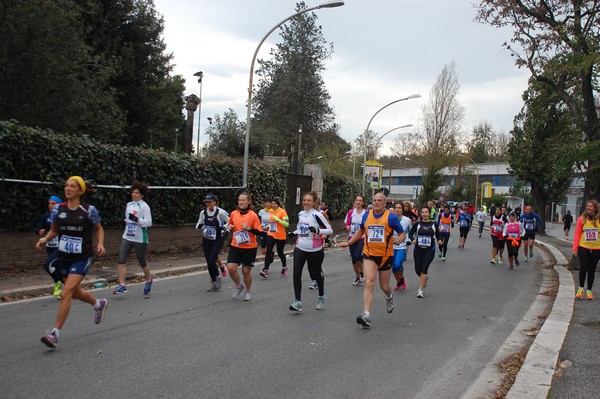 Mezza Maratona a Staffetta - Trofeo Arcobaleno (01/12/2013) 00035
