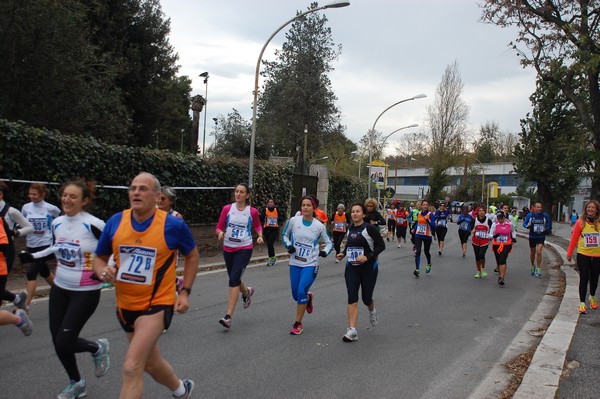 Mezza Maratona a Staffetta - Trofeo Arcobaleno (01/12/2013) 00038