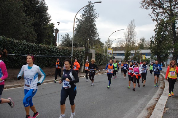 Mezza Maratona a Staffetta - Trofeo Arcobaleno (01/12/2013) 00040