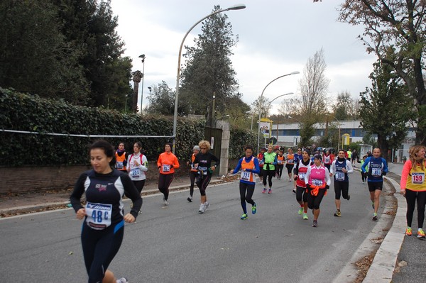 Mezza Maratona a Staffetta - Trofeo Arcobaleno (01/12/2013) 00041