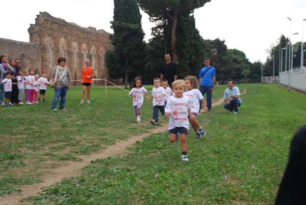 Trofeo Arancini Podistica Solidarietà (29/09/2013) 00019