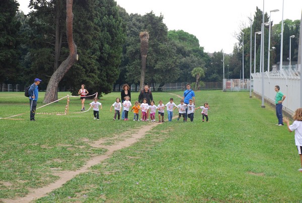 Trofeo Arancini Podistica Solidarietà (29/09/2013) 00033