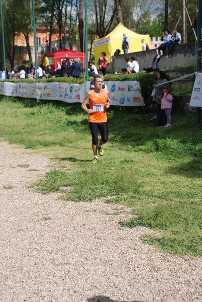 Walk of life - Corri per Telethon (21/04/2013) 00140