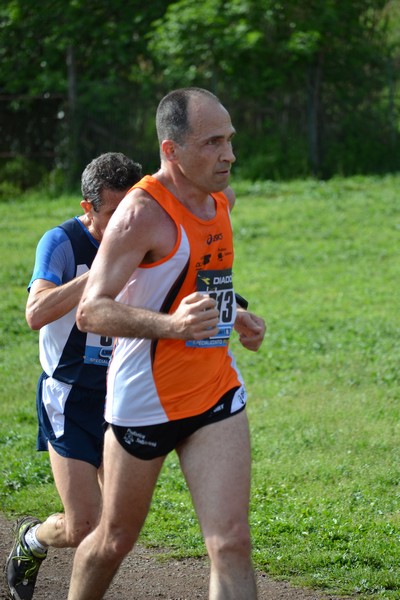 Cross della Caffarella (06/04/2013) 00108