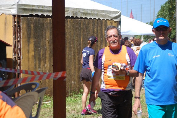 Trofeo Città di Nettuno (02/06/2013) 00018