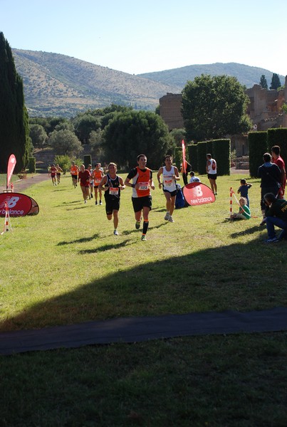 Corsa delle 3 Ville (C.E.) (22/09/2013) 00033