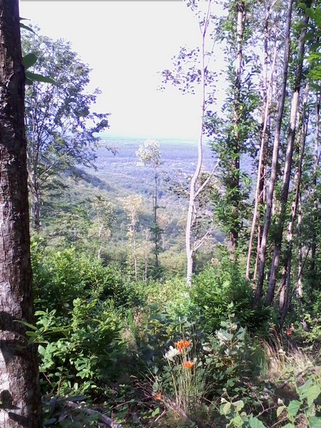 Woman in Trail  (C.T./C.E.) (14/07/2013) 00030