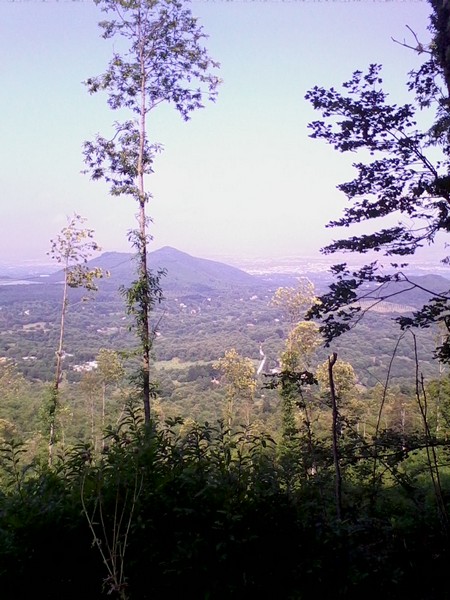 Woman in Trail  (C.T./C.E.) (14/07/2013) 00035