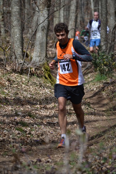Trail della Capitale (Crit. Trail) (24/03/2013) 00030