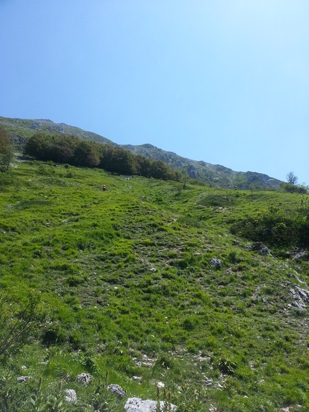 Monte Terminillo Sky Race (Crit. Trail) (30/06/2013) 00006