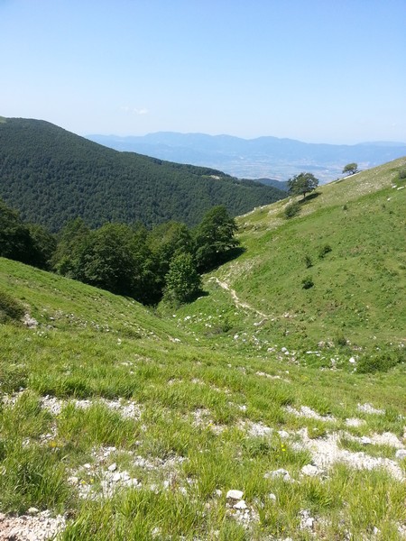 Monte Terminillo Sky Race (Crit. Trail) (30/06/2013) 00008