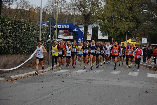 Mezza Maratona a Staffetta - Trofeo Arcobaleno (01/12/2013) 00005