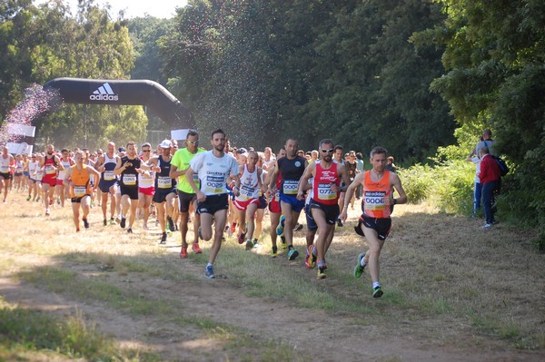 Trofeo Città di Nettuno (02/06/2013) 00023