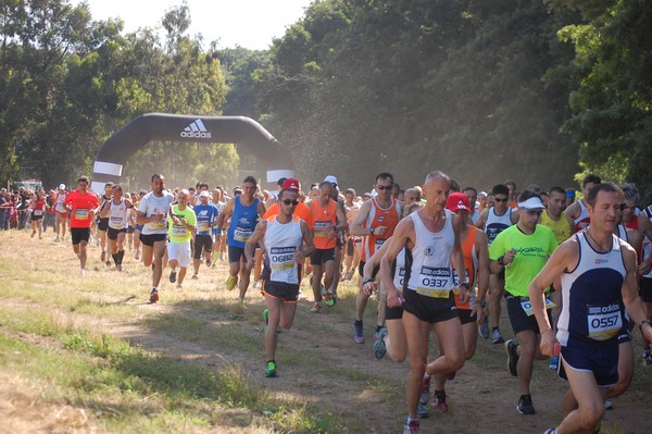 Trofeo Città di Nettuno (02/06/2013) 00043