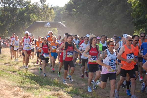 Trofeo Città di Nettuno (02/06/2013) 00059