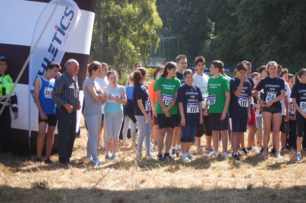 Trofeo Città di Nettuno (02/06/2013) 00153
