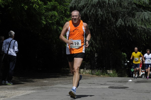 Maratonina di Villa Adriana (26/05/2013) 00069