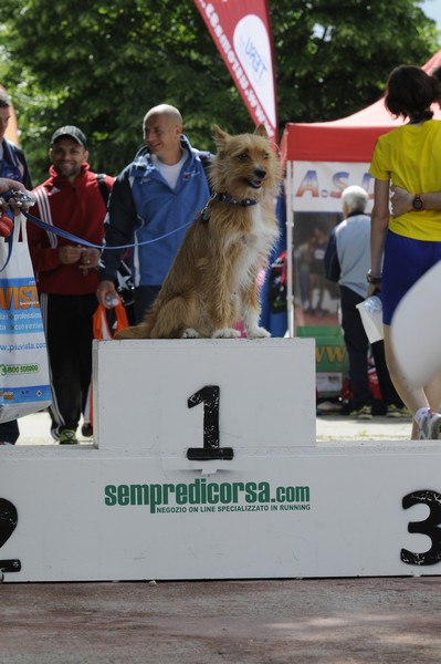 Maratonina di Villa Adriana (26/05/2013) 00091