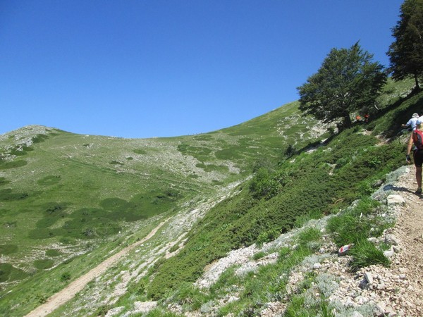 Monte Terminillo Sky Race (Crit. Trail) (30/06/2013) 021
