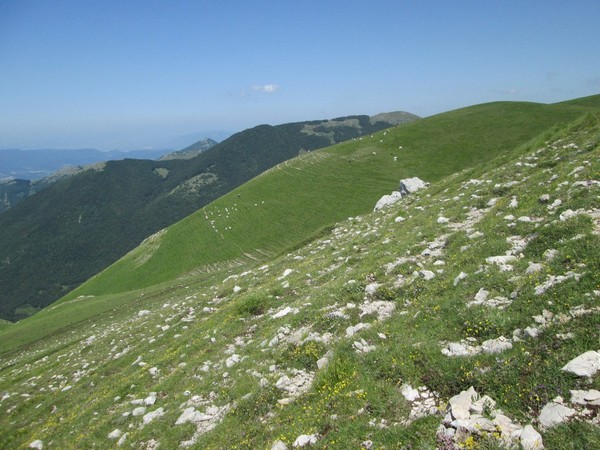Monte Terminillo Sky Race (Crit. Trail) (30/06/2013) 024
