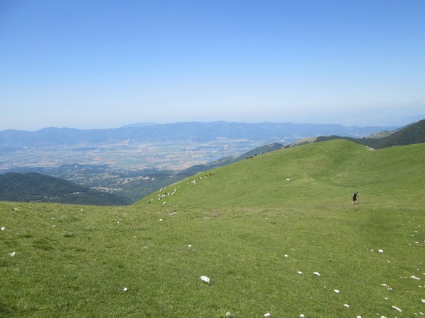 Monte Terminillo Sky Race (Crit. Trail) (30/06/2013) 031