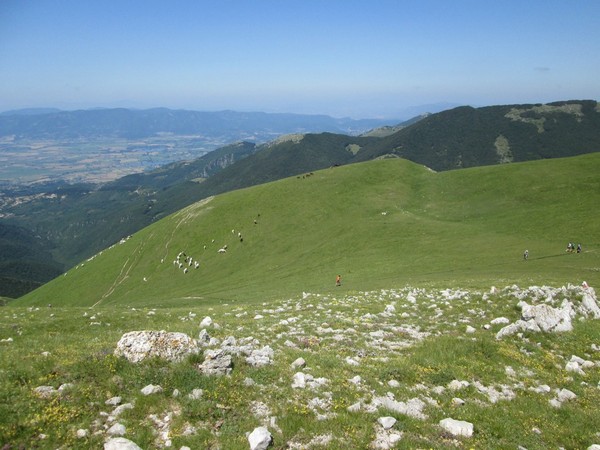 Monte Terminillo Sky Race (Crit. Trail) (30/06/2013) 033