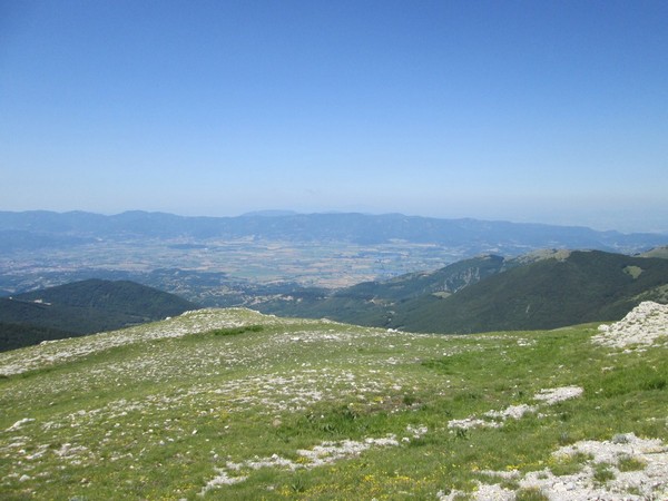 Monte Terminillo Sky Race (Crit. Trail) (30/06/2013) 038