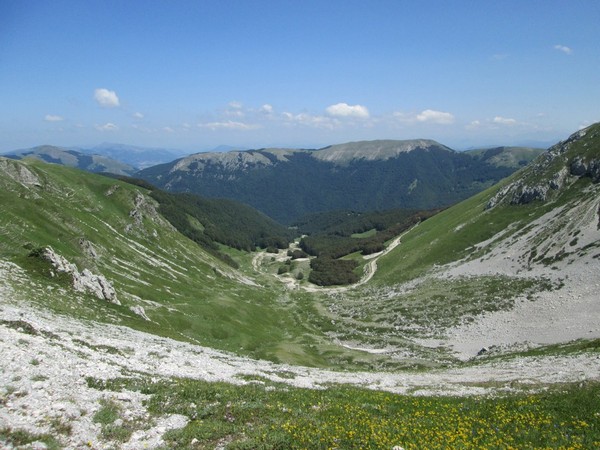 Monte Terminillo Sky Race (Crit. Trail) (30/06/2013) 040