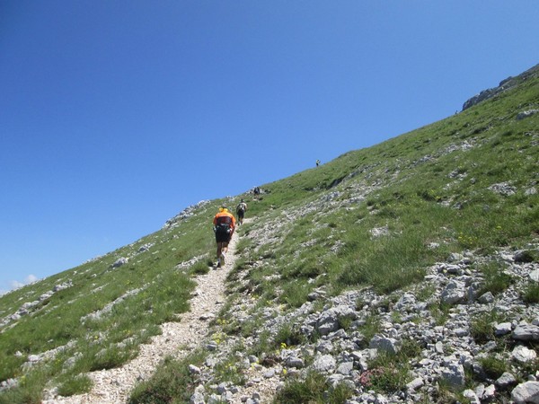Monte Terminillo Sky Race (Crit. Trail) (30/06/2013) 046