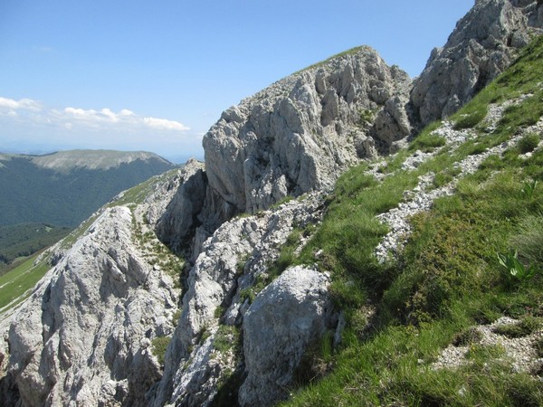 Monte Terminillo Sky Race (Crit. Trail) (30/06/2013) 050