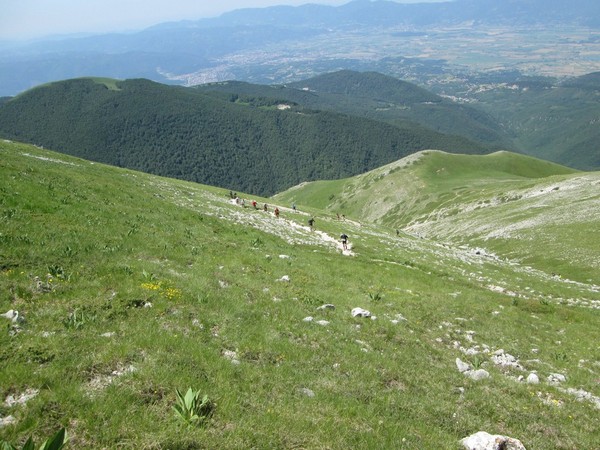 Monte Terminillo Sky Race (Crit. Trail) (30/06/2013) 054