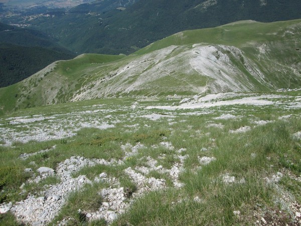 Monte Terminillo Sky Race (Crit. Trail) (30/06/2013) 059