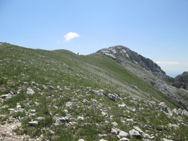 Monte Terminillo Sky Race (Crit. Trail) (30/06/2013) 078