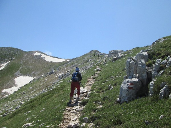 Monte Terminillo Sky Race (Crit. Trail) (30/06/2013) 098